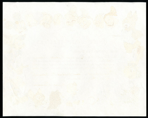 Syosset Hospital Health Services - New York State Department of Education Graduation Pin