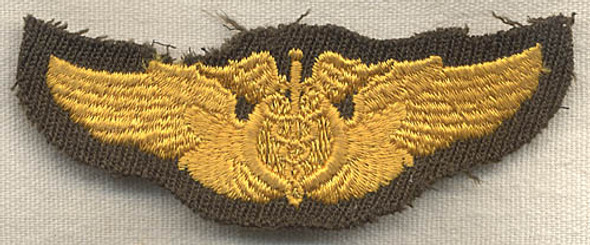 Early WWII Flight Surgeon Wing