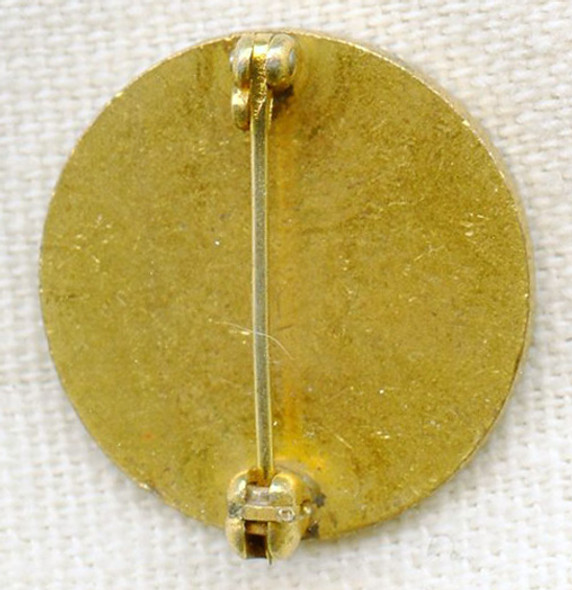 1950s Chicago Post-Graduate School of Nursing Student Pin
