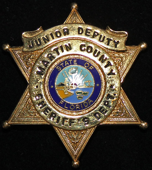 Cool Vintage Early 90's Palm Beach. FL Deputy Sheriff Badge by