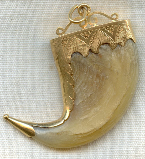 Rare 1800s 14K Gold Mounted Large Lion Claw with Hallmarks