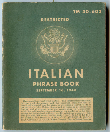 WWII US Army Technical Manual TM 30-603 