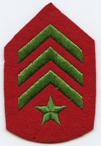 Scarce 1930's Civilian Conservation Corps (CCC) Field Leader Rank ...
