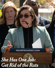 How To Install BrownstoneBin On A NYC Sidewalk And Avoid Violations How To Install BrownstoneBin On A NYC Sidewalk And Avoid Violations