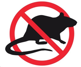 ​BrownstoneBin is the best rat-proof trash can enclosure