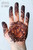 Mohana Henna 2016 - fully developed stain