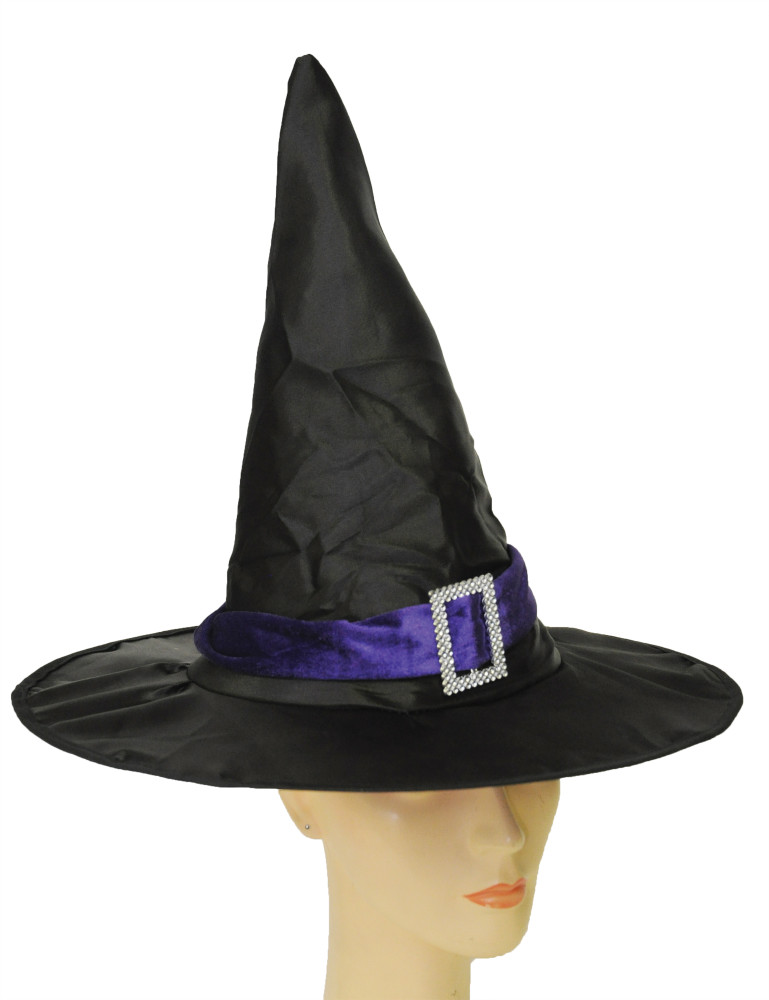 Seasonal Visions Black & Purple Elegant Witch Hat