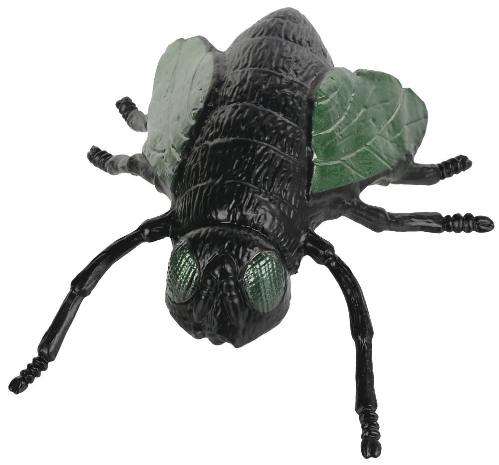 Seasons USA Seasons USA 6 House Fly