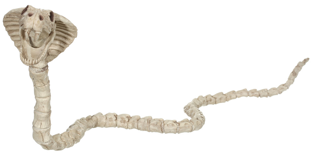 Seasons USA Skeleton Cobra