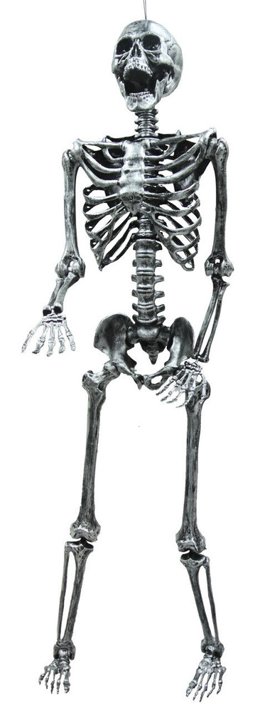 Sunstar Sunstar 5 Light-Up Skeleton