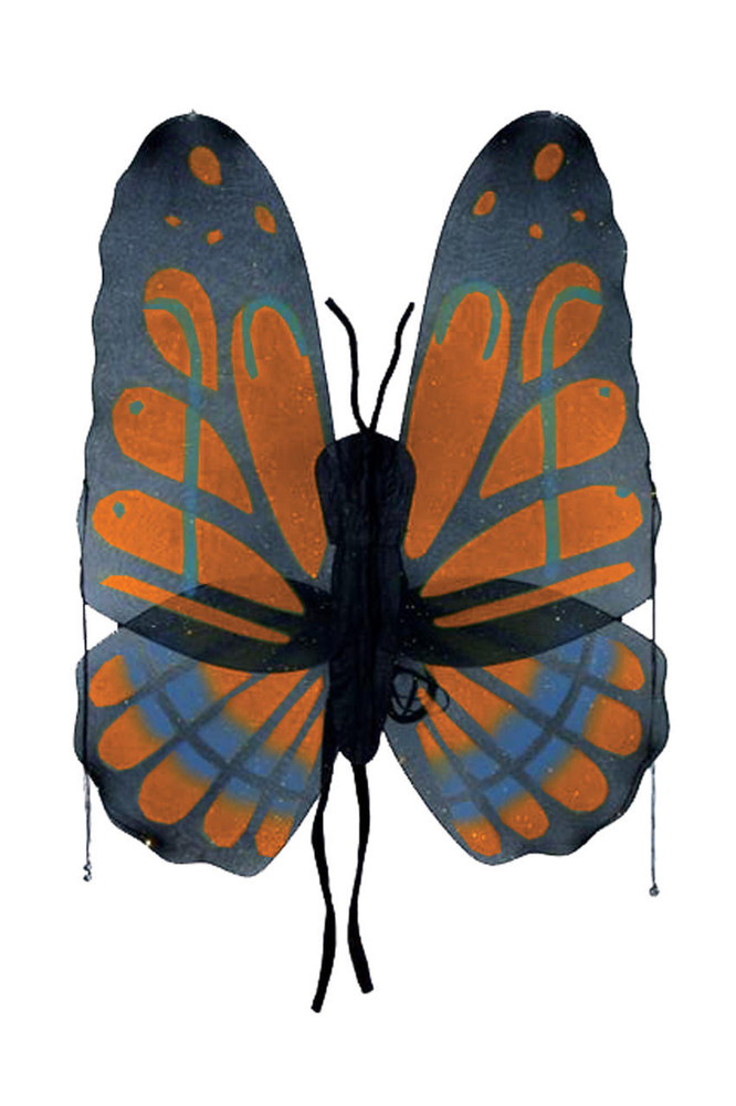 Fun World Fun World Butterfly Wings - FW8100BBU - Blue