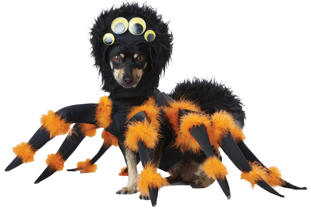 California Costumes California Costumes Spider Pup Dog Costume