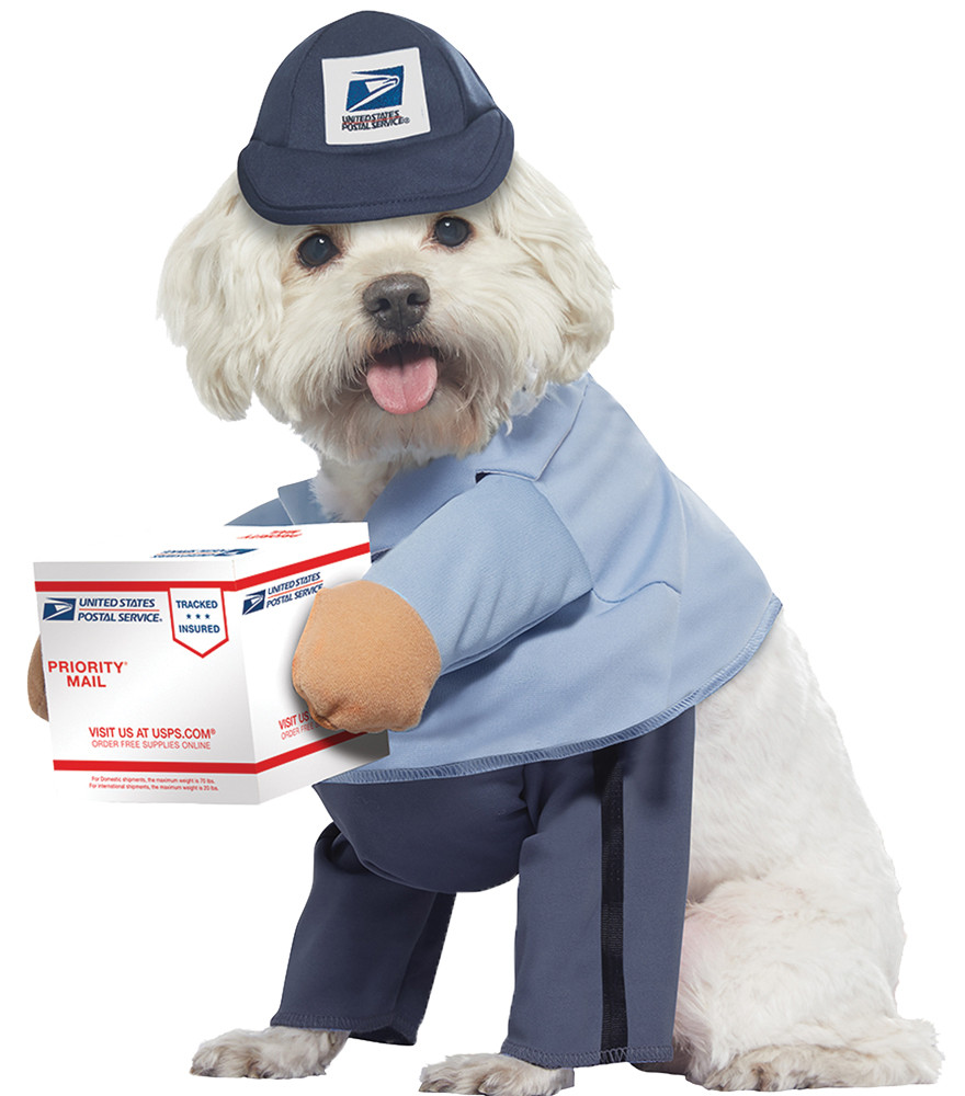 California Costumes us Mail Carrier Pet