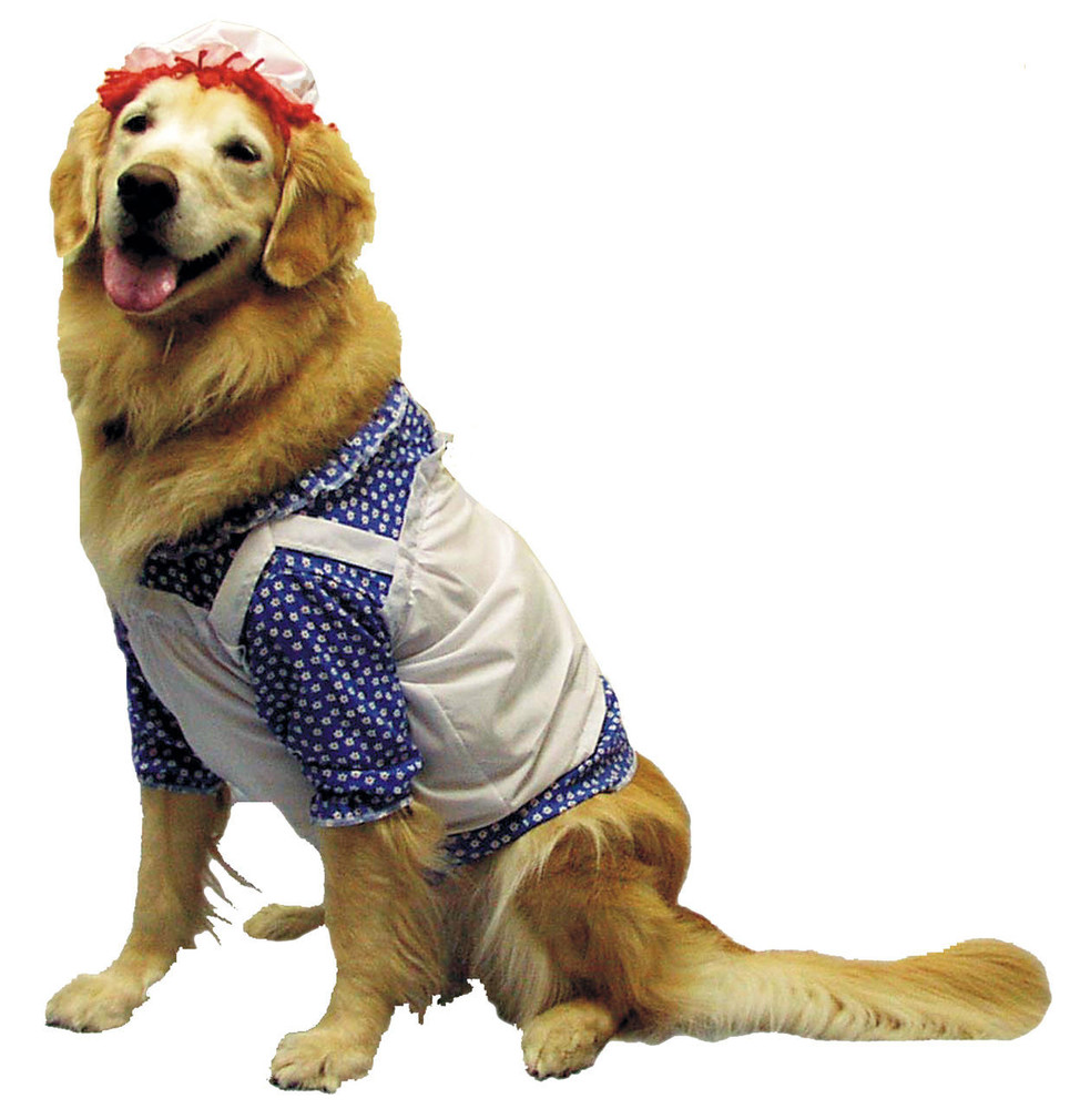 Morris Costumes Morris Costumes Raggedy Ann Pet Costume