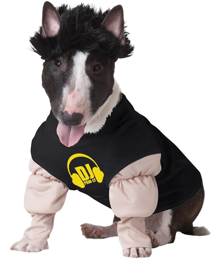 California Costumes California Costumes Dj Master Dog Costume