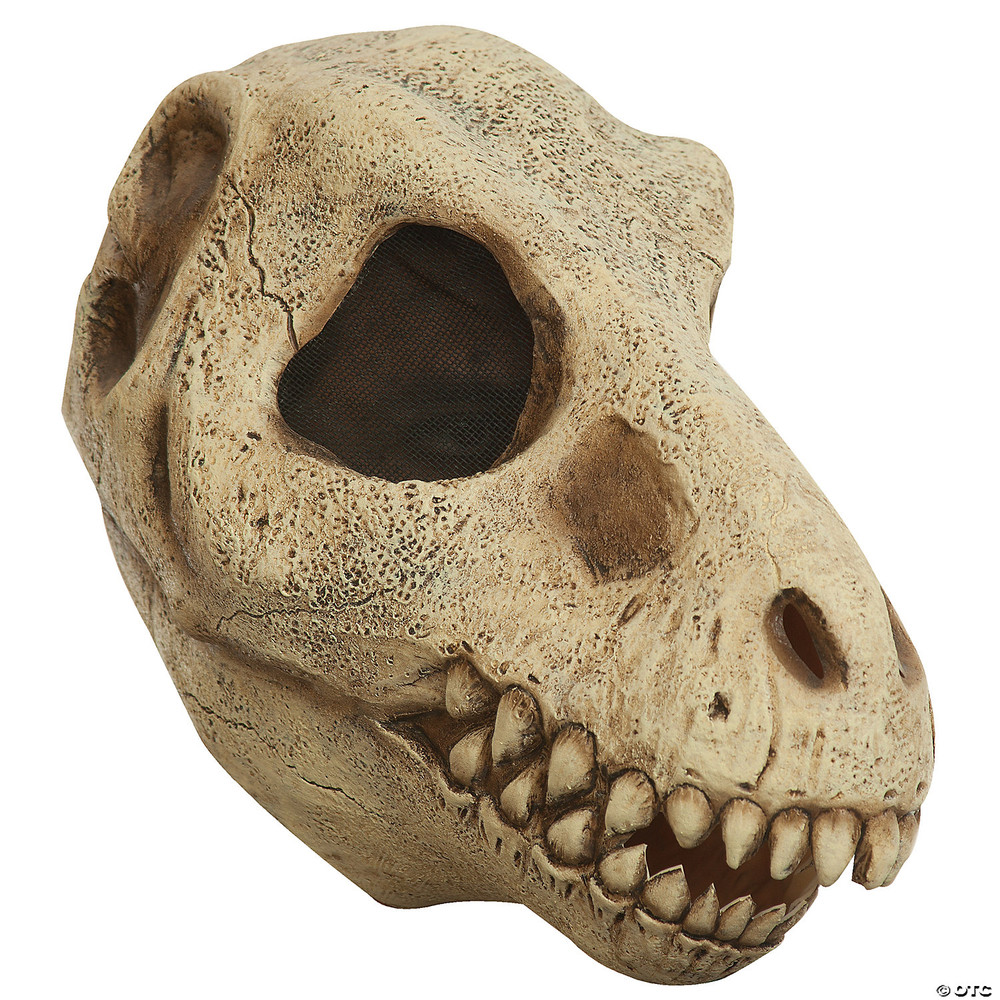 Adult's Tyrannosaurus Rex Dinosaur Skull Mask

