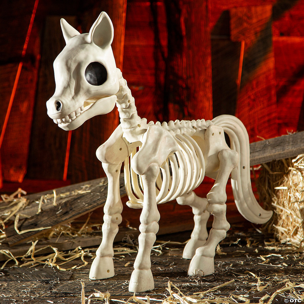 Pony Skeleton