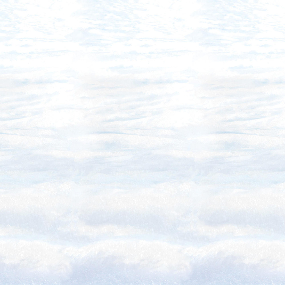 Beistle Beistle Snowscape Backdrop
