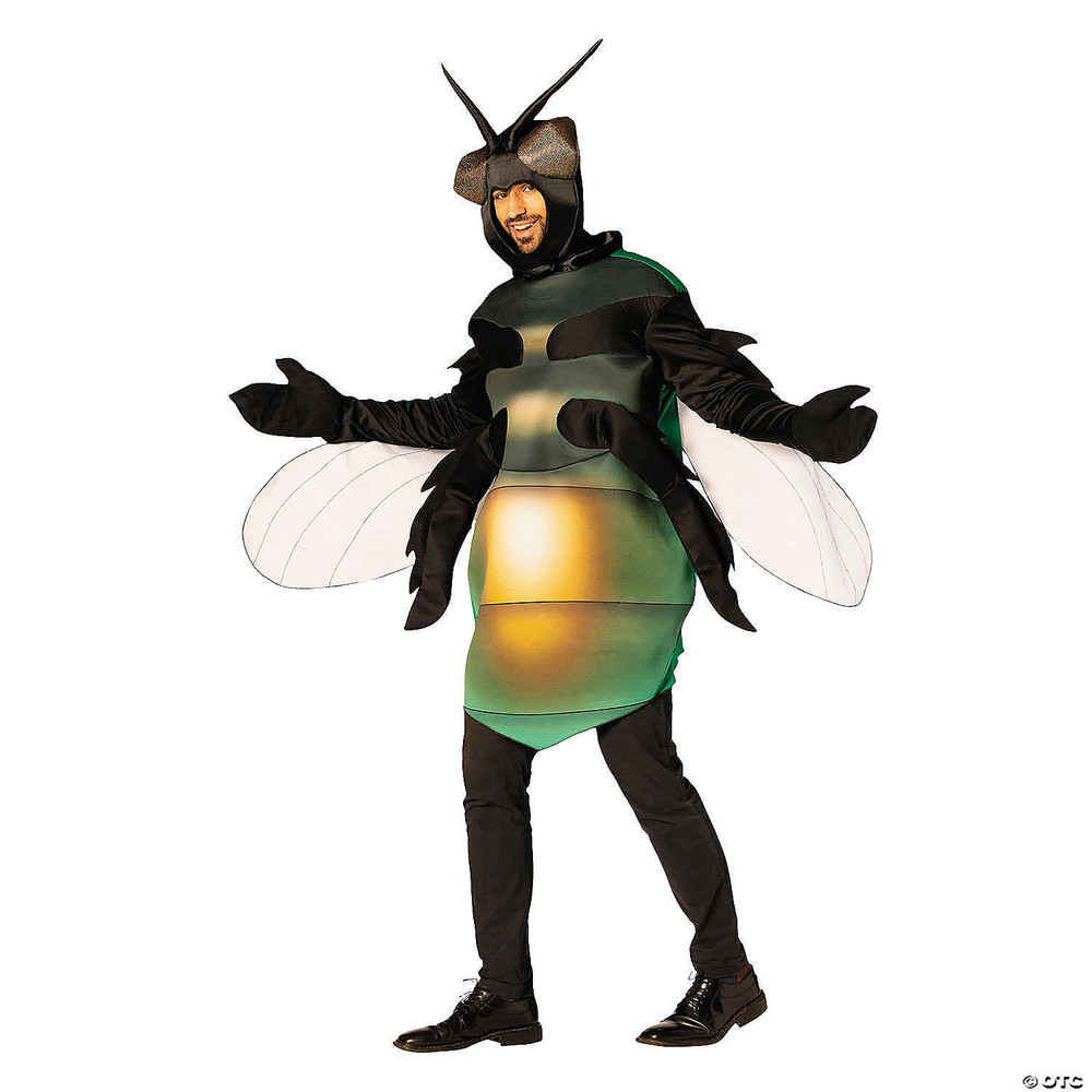 Adults Fly Tunic Costume