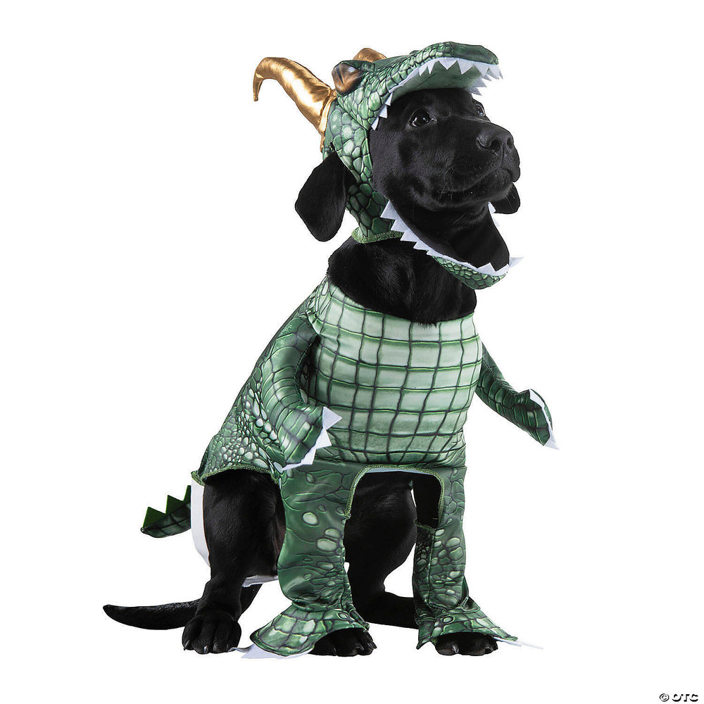Loki Pet Classic Costume - X Large