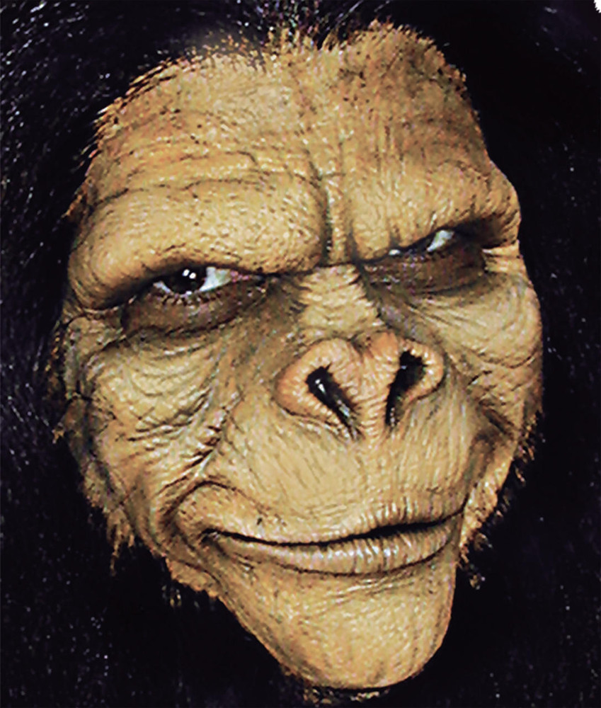 Cinema Secrets Cinema Secrets Ape Man Foam Latex Prosthetic