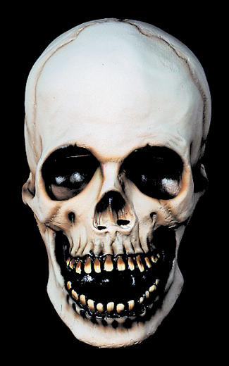 Distortions Distortions Skull Mask