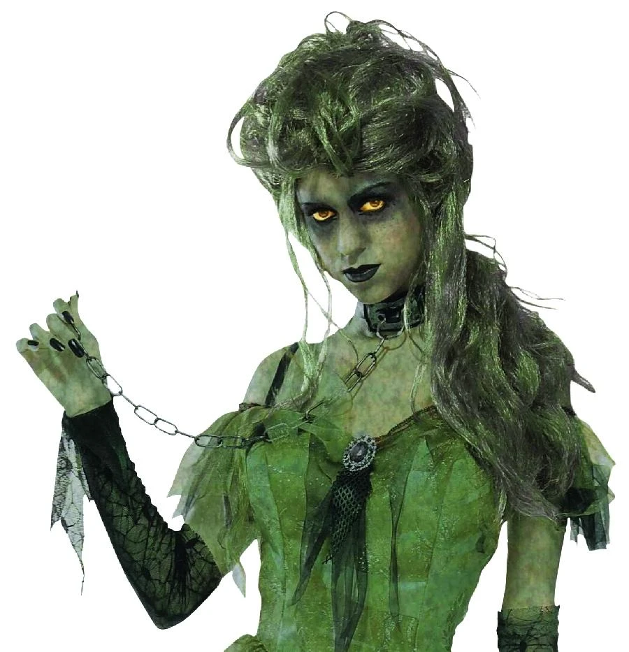 Forum Novelties Forum Novelties Zombie Lady Wig