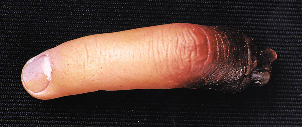 Morris Costumes Morris Costumes Cut off Finger New