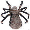 Seasonal Visions 53" Light-Up Black Spider