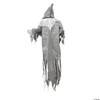 Seasonal Visions 72" Animated Hanging Phantom