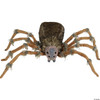 Seasonal Visions Spider Brown Wolf Deluxe Lightup