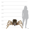 Seasonal Visions Spider Brown Wolf Deluxe Lightup