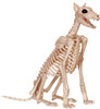 Seasons USA Skeleton Doberman