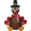 Airblown Turkey With Scarf