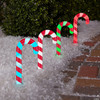 Colormotion Pathway Candy Cane