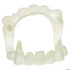 Glow in the Dark Vampire Teeth Costume Accessory
