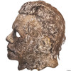 Halloween Ends Michael Myers Mask

