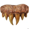 Bitemares Teeth - Vampire Master Teeth