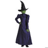 Toddler Deluxe Wicked Elphaba Purple Dress Costume