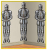Beistle Beistle Wall of Knights Backdrop 4 X 30