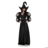 Adults Spider Web Mistress Black Lace Front Dress with Witch Hat Costume