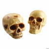 8" Brown Plastic Skull Halloween Decoration