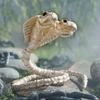 5 1/2" Two-Headed Cobra Snake Skeleton Halloween Decoration