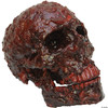 Ghoulish Blood Scab Resin Skull Prop