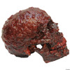 Ghoulish Blood Scab Resin Skull Prop