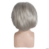 Morris Costumes Mark Twain Wig Moustache