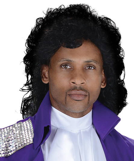Underwraps Underwraps Pop Star Wig