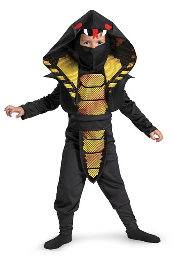 Disguise Disguise Cobra Ninja Costume