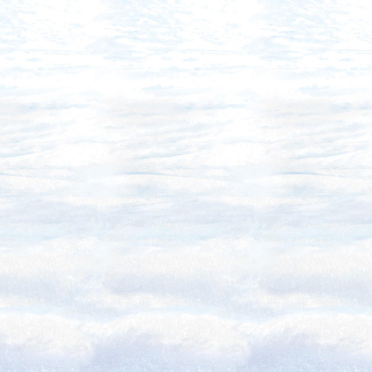 Beistle Beistle Snowscape Backdrop