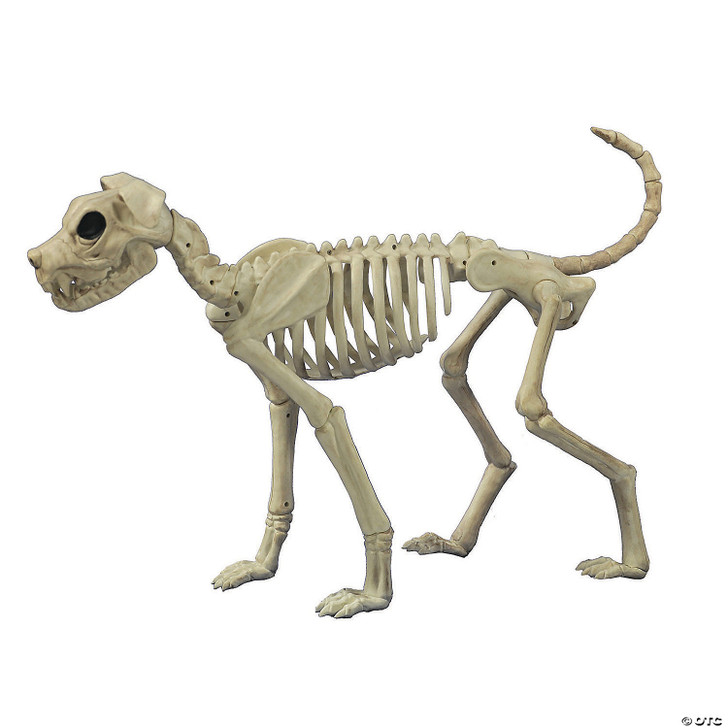 Seasons USA Buster Bonez